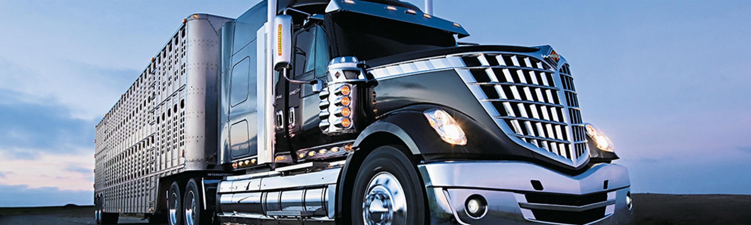 2017 International® LoneStar for sale in Altruck International Truck Centres, Ontario