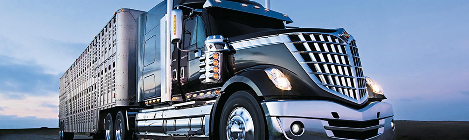 2017 International® LoneStar® for sale in Altruck International Truck Centres, Ontario
